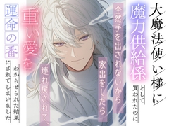 大魔法使い様に魔力供給係として買われたのに全然手を出されないから家出をしたら連れ戻されて、重い愛をわからせられた結果運命の番にされてしまいました [リリスの園]
