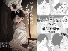兄さんの家に監禁されてる [メチルi]