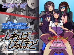 しればしるほど PROCESS II 「実験」 [おむかい座]