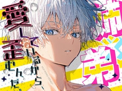 R18♡姉×弟『愛しているから、歪むんだ。』-退廃街の雨の檻- [JOKER PARA-VOX]