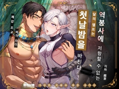 거만한 국왕과 동정 성기사 ~역봉사에 저항할 수 없는 달의 엘프는 첫날밤을 바친다~ [曜光計畫Yoko Project]