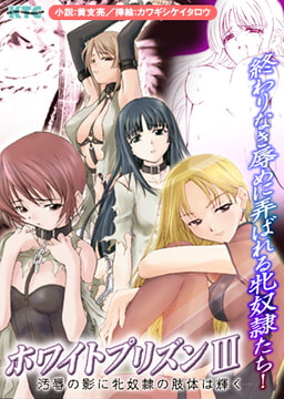 ホワイトプリズンIII 汚辱の影に牝奴○の肢体は輝く [キルタイムコミュニケーション]