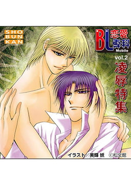 BL恋愛専科 vol.2凌○ [松文館]