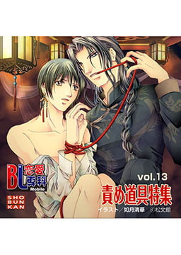 BL恋愛専科 vol.13責め道具 [松文館]
