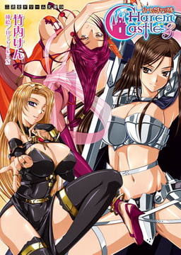 ハーレムキャッスル3 [キルタイムコミュニケーション]