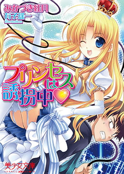 プリンセスは誘拐中▼ [フランス書院]
