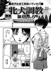 雌犬調教