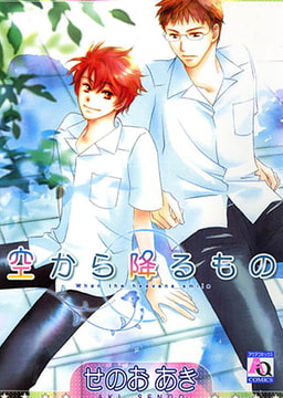 空から降るもの [オークラ出版]