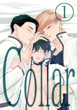 Collar(1) [ナンバーナイン]