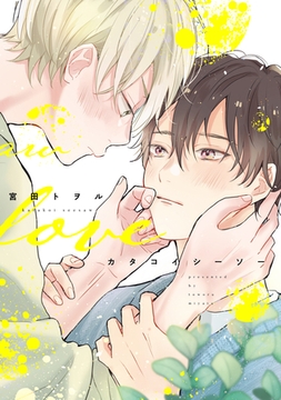 カタコイシーソー【電子限定おまけ付き】 [新書館]