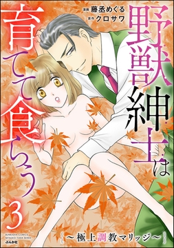 野獣紳士は育てて食らう ～極上調教マリッジ～　（3） [ぶんか社]