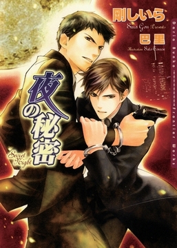 夜の秘密 [ダリア文庫e]