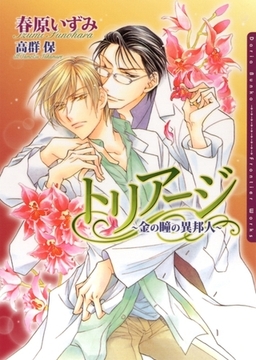 トリアージ 〜金の瞳の異邦人〜 [ダリア文庫e]