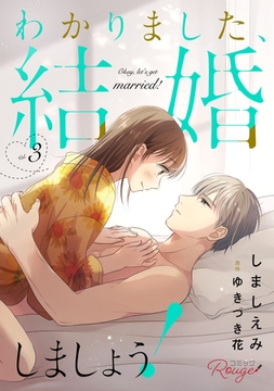 わかりました、結婚しましょう！ 3【合冊版】 [マイクロマガジン社]