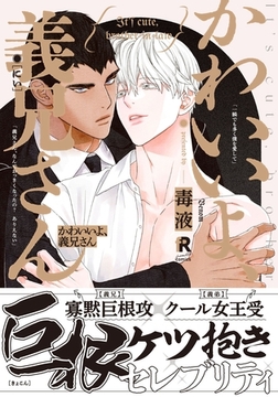 かわいいよ、義兄さん【単行本版（特典付き）】 [シュークリーム]