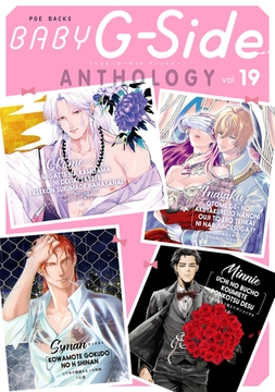 BABY G-Side vol.19 [ふゅーじょんぷろだくと]
