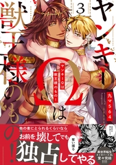 ヤンキーΩは獣王様のもの！【単行本版／電子限定おまけ付き】３ [モバイルメディアリサーチ]