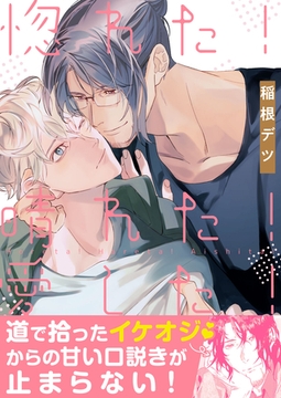 惚れた！晴れた！愛した！【単行本版（限定描き下ろし付き）】 [MUGENUP]