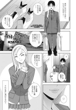 義妹のおつかい [辰巳出版]