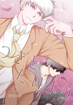 つきとたいよう(3) [ナンバーナイン]