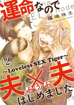 運命なので夫×夫はじめました　２～Loveless SEX Tiger～ [光文社]
