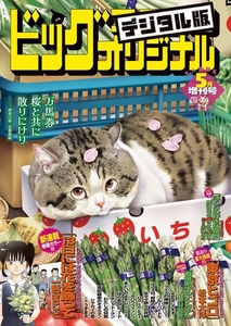 ビッグコミックオリジナル増刊 2023年5月増刊号（2023年4月12日発売） [小学館]
