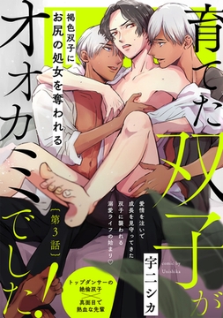 育てた双子がオオカミでした！(3) [ふゅーじょんぷろだくと]