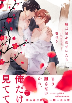 結び目をほどいたら【ペーパー付】【電子限定ペーパー付】 [ジュリアンパブリッシング]