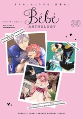 Bebe vol.30 [ふゅーじょんぷろだくと]