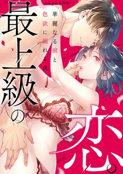 最上級の恋。 〜華麗なる獣と色欲に溺れる夜〜 [リブレ]