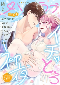 極上ハニラブ 2023年6月号【きゅん愛】 [KATTS]
