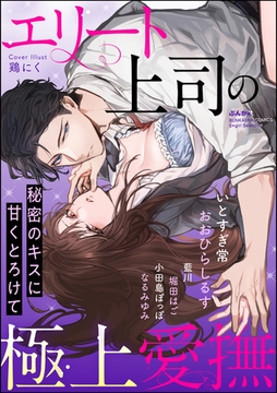 エリート上司の極上愛撫 秘密のキスに甘くとろけて [ぶんか社]