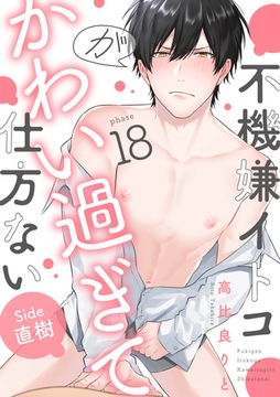 不機嫌イトコがかわい過ぎて仕方ない(18)　side直樹 [英和出版社]