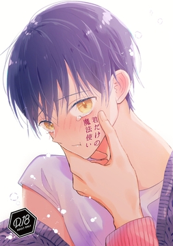 君だけの魔法使い [ナンバーナイン]