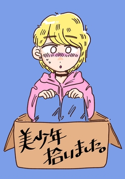 美少年拾いました。 [ナンバーナイン]