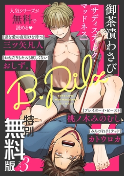 【特別無料版】B.Pilz ver.3 [ブライト出版]