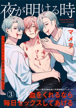 夜が明ける時(3) [ふゅーじょんぷろだくと]