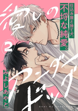 愛しのアンダードッグ(2) [アメイロ]