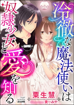 冷徹な魔法使いは奴○少女と愛を知る【イラスト入り】 [ぶんか社]