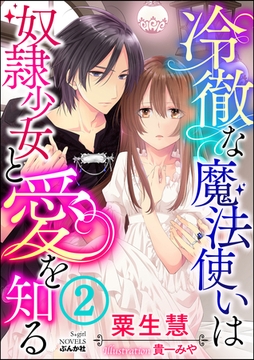 冷徹な魔法使いは奴○少女と愛を知る【イラスト入り】 【第2話】 [ぶんか社]