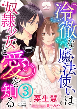 冷徹な魔法使いは奴○少女と愛を知る【イラスト入り】 【第3話】 [ぶんか社]