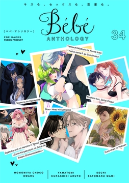 Bebe vol.34 [ふゅーじょんぷろだくと]