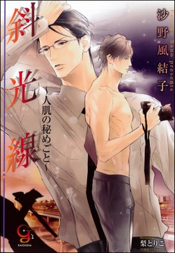 斜光線～人肌の秘めごと～【イラスト入り】 [海王社]