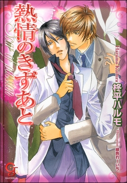 熱情のきずあと [海王社]