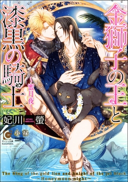 金獅子の王と漆黒の騎士～蜜月夜～ [海王社]