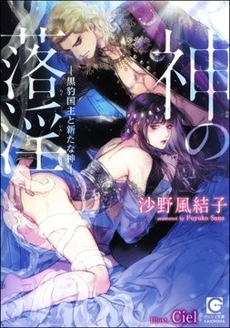 神の落淫―黒豹国主と新たな神―【イラスト入り】 [海王社]