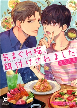 気まぐれ猫、餌付けされました【イラスト入り】 [海王社]