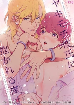 好きで好きでしょうがないみたい。 ５ ヤキモチ彼氏に抱かれる夜は編 [ナンバーナイン]