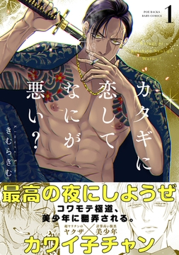 カタギに恋してなにが悪い？(1) [ふゅーじょんぷろだくと]