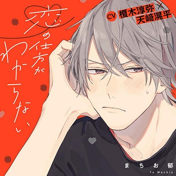 『恋の仕方がわからない』完全版【購入者限定！YouTube未公開シーン&特典番外編付き】 [株式会社KADOKAWA]